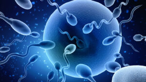 clínicas de reproducción asistida fertilidad