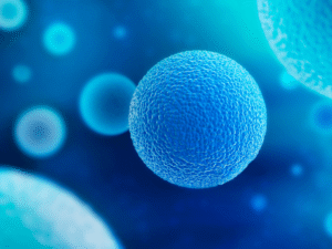 óvulos curiosidades