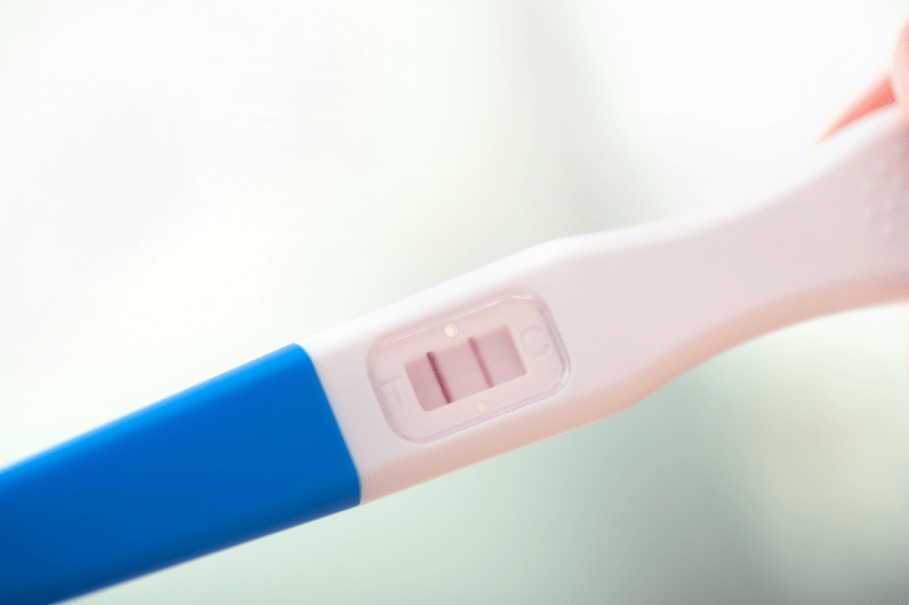 Factores influyen fertilidad