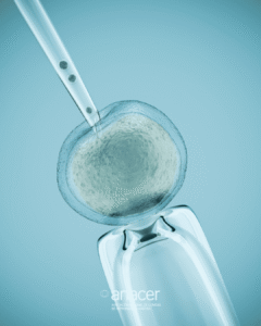 Fecundación in vitro